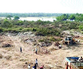 The golf course site is not submerged | गोल्फ कोर्सची जागा पाणथळाची नाही The golf course site is not submerged | गोल्फ कोर्सची जागा पाणथळाची नाही