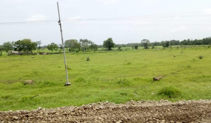 Most E-Classes land do not plant trees on the ground! | बहुतांश ई-क्लास जमिनीवर वृक्ष लागवडच नाही ! Most E-Classes land do not plant trees on the ground! | बहुतांश ई-क्लास जमिनीवर वृक्ष लागवडच नाही !