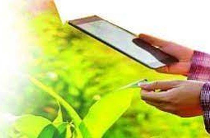 Three and a half lakh farmers are far from e-crop inspection | बुलडाणा जिल्ह्यातील साडेतीन लाख शेतकरी ई पीक पाहणीपासून दूरच Three and a half lakh farmers are far from e-crop inspection | बुलडाणा जिल्ह्यातील साडेतीन लाख शेतकरी ई पीक पाहणीपासून दूरच