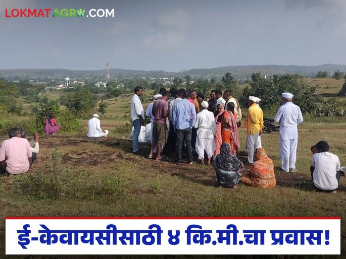 latest news e-KYC: On the hill for e-KYC; Farmers rush in search of network | e-KYC : ई-केवायसीसाठी टेकडीवर; नेटवर्कच्या शोधात शेतकऱ्यांची धावपळ latest news e-KYC: On the hill for e-KYC; Farmers rush in search of network | e-KYC : ई-केवायसीसाठी टेकडीवर; नेटवर्कच्या शोधात शेतकऱ्यांची धावपळ