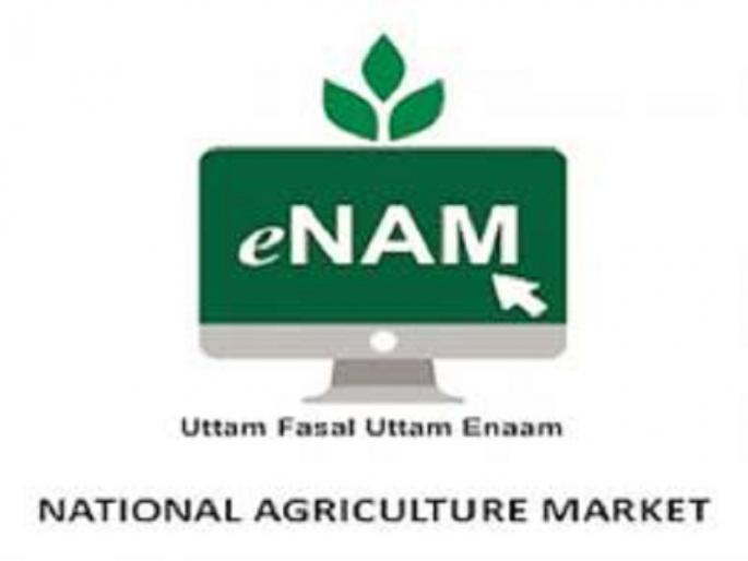 Action on 11 Market Committees which have delayed implementation of e-nam | ई-नाम अंमलबजावणीत दिरंगाई करणाऱ्या ११ बाजार समित्यांवर कारवाई Action on 11 Market Committees which have delayed implementation of e-nam | ई-नाम अंमलबजावणीत दिरंगाई करणाऱ्या ११ बाजार समित्यांवर कारवाई
