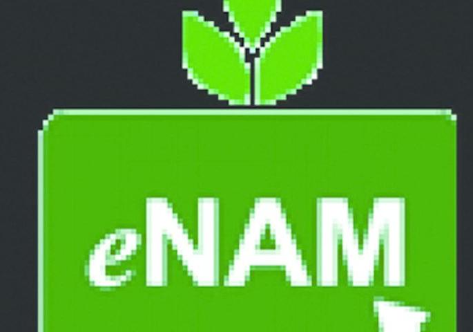 E-Nam scheme can increase unemployment! | ई-नाम योजनेमुळे बेरोजगारीत वाढ होण्याची शक्यता! E-Nam scheme can increase unemployment! | ई-नाम योजनेमुळे बेरोजगारीत वाढ होण्याची शक्यता!