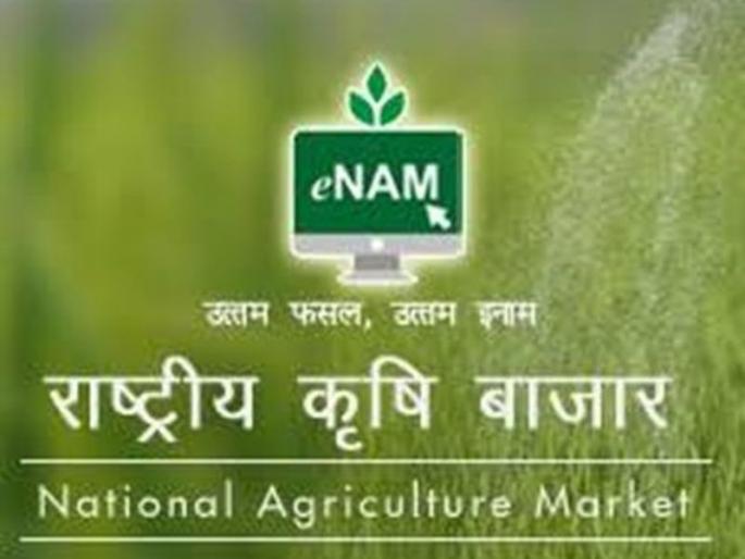 E-Nam system will be held in three market committees in Washim district | वाशिम जिल्ह्यातील तीन बाजार समित्यामध्ये होणार ई-नाम प्रणाली