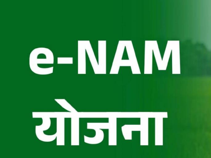 'E-NAM' scheme in the state on the lines of the Centre; Bill approved: Efforts to reduce obstacles | केंद्राच्या धर्तीवर राज्यातही ‘ई-नाम’ योजना; विधेयक मंजूर : अडथळे कमी करण्याचा प्रयत्न 'E-NAM' scheme in the state on the lines of the Centre; Bill approved: Efforts to reduce obstacles | केंद्राच्या धर्तीवर राज्यातही ‘ई-नाम’ योजना; विधेयक मंजूर : अडथळे कमी करण्याचा प्रयत्न