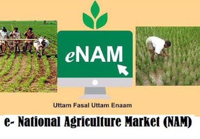 Registration of farmers for 'e-name' of Republic will be registered in Buldhana district! | बुलडाणा जिल्हय़ात प्रजासत्ताकदिनी ‘ई-नाम’साठी होणार शेतकर्यांची नोंदणी! Registration of farmers for 'e-name' of Republic will be registered in Buldhana district! | बुलडाणा जिल्हय़ात प्रजासत्ताकदिनी ‘ई-नाम’साठी होणार शेतकर्यांची नोंदणी!