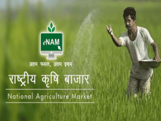 Corona e-name turnover of Rs 30 crore in April | कोरोनात ई-नामद्वारे एप्रिलमध्ये शेतमालाची ३० कोटींची उलाढाल Corona e-name turnover of Rs 30 crore in April | कोरोनात ई-नामद्वारे एप्रिलमध्ये शेतमालाची ३० कोटींची उलाढाल