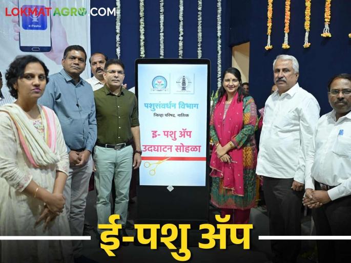 Latest News Agriculture News Nashik Zilla Parishad has created the 'e Pashu' app, see key features | Agriculture News : नाशिक जिल्हा परिषदेकडून 'ई पशु' ॲपची निर्मिती, काय आहेत वैशिष्ट्ये?  Latest News Agriculture News Nashik Zilla Parishad has created the 'e Pashu' app, see key features | Agriculture News : नाशिक जिल्हा परिषदेकडून 'ई पशु' ॲपची निर्मिती, काय आहेत वैशिष्ट्ये?