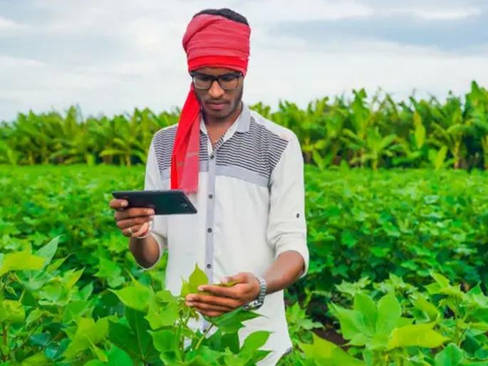 Seventy million farmers in the state have received Saatbara; Talathya's tour has been released, use of 'e-Peak Pahani' mobile app has increased | राज्यातील तब्बल ७० लाख शेतकऱ्यांच्या हाती सातबारा; सुटला तलाठ्याचा फेरा, ‘ई-पीक पाहणी’ मोबाइल ॲपचा वाढला वापर Seventy million farmers in the state have received Saatbara; Talathya's tour has been released, use of 'e-Peak Pahani' mobile app has increased | राज्यातील तब्बल ७० लाख शेतकऱ्यांच्या हाती सातबारा; सुटला तलाठ्याचा फेरा, ‘ई-पीक पाहणी’ मोबाइल ॲपचा वाढला वापर