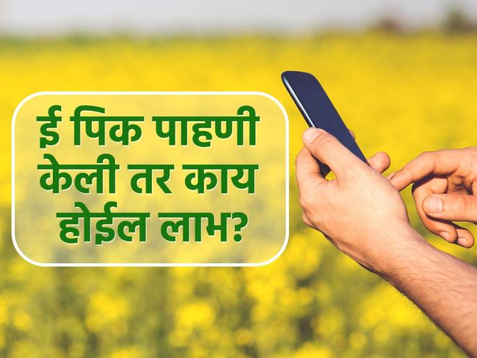 What will be the benefit of e-pick pahani inspection? | ई-पिक पाहणी केली तर काय होईल लाभ? What will be the benefit of e-pick pahani inspection? | ई-पिक पाहणी केली तर काय होईल लाभ?