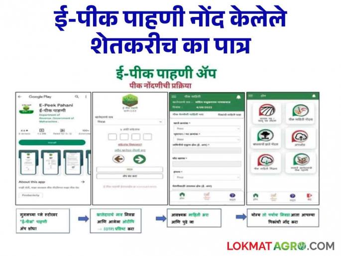 E- Pik Pahani : E-Pik Pahani registered farmers are eligible; Farmers will get 'so many' crores as subsidy | E- Pik Pahani : ई-पीक पाहणी नोंद केलेले शेतकरीच पात्र ; अनुदानापोटी मिळणार शेतकऱ्यांना 'इतके' कोटी E- Pik Pahani : E-Pik Pahani registered farmers are eligible; Farmers will get 'so many' crores as subsidy | E- Pik Pahani : ई-पीक पाहणी नोंद केलेले शेतकरीच पात्र ; अनुदानापोटी मिळणार शेतकऱ्यांना 'इतके' कोटी