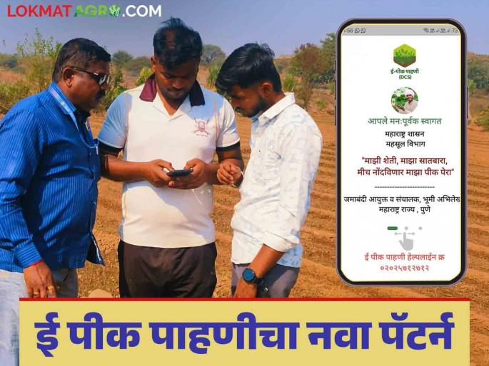 E Peek Pahani : A new pattern of farmers and college students for e pik pahani is becoming popular in the state; Read in detail | E Peek Pahani : ई पिक पाहणीसाठी राज्यात शेतकरी व कॉलेजकुमारांचा नवा पॅटर्न होतोय पॉप्युलर; वाचा सविस्तर E Peek Pahani : A new pattern of farmers and college students for e pik pahani is becoming popular in the state; Read in detail | E Peek Pahani : ई पिक पाहणीसाठी राज्यात शेतकरी व कॉलेजकुमारांचा नवा पॅटर्न होतोय पॉप्युलर; वाचा सविस्तर