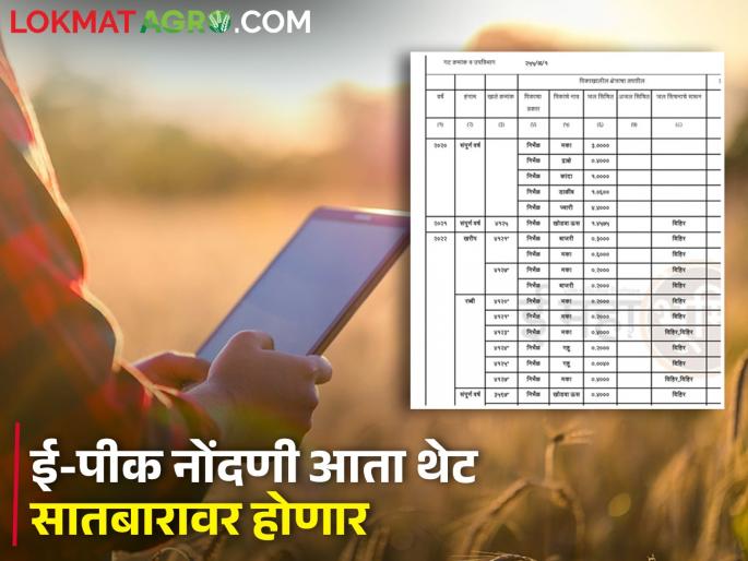 Now a single app across the country for crop registration; Registration will be held directly on Satbara land document | पीक नोंदणीसाठी देशभरात आता एकच ॲप; नोंदणी थेट सातबारावर होणार Now a single app across the country for crop registration; Registration will be held directly on Satbara land document | पीक नोंदणीसाठी देशभरात आता एकच ॲप; नोंदणी थेट सातबारावर होणार