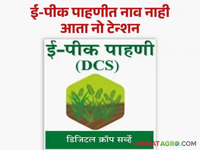 E-Pik Pahani : No Name in E-Peak Inspection, No Worries Now; Government will help | E-Pik Pahani : ई-पीक पाहणीत नाव नाही, आता काळजी नाही ; शासन करणार मदत वाचा सविस्तर E-Pik Pahani : No Name in E-Peak Inspection, No Worries Now; Government will help | E-Pik Pahani : ई-पीक पाहणीत नाव नाही, आता काळजी नाही ; शासन करणार मदत वाचा सविस्तर