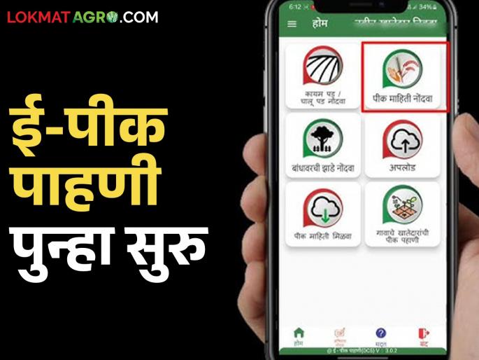E-pik pahani deadline extended for the fourth time in the state; Until what date can you register now? | E Pik Pahani: राज्यात ई-पीक पाहणीला चौथ्यांदा मुदतवाढ; आता शेतकरी किती तारखेपर्यंत करू शकतात नोंदणी? E-pik pahani deadline extended for the fourth time in the state; Until what date can you register now? | E Pik Pahani: राज्यात ई-पीक पाहणीला चौथ्यांदा मुदतवाढ; आता शेतकरी किती तारखेपर्यंत करू शकतात नोंदणी?