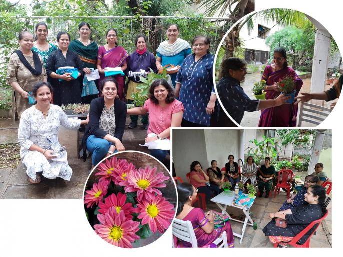 The women of Pune started an ingenious experiment of green plants with beautiful, green corners | पुण्यातल्या महिलांनी सुरू केली हिरव्यागार रोपांची सुंदर भिशी, हिरवा कोपरा फुलवणारा कल्पक प्रयोग