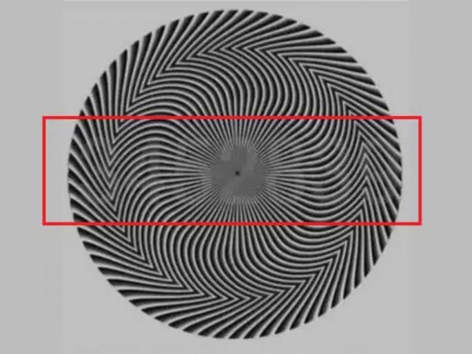 Optical Illusion : Mind boggling optical illusion no one has found another apart from 4528 this black and white circle | Optical Illusion : जीनिअस असाल तर शोधून दाखवा यातील नंबर, 7 सेकंदाची आहे वेळ! Optical Illusion : Mind boggling optical illusion no one has found another apart from 4528 this black and white circle | Optical Illusion : जीनिअस असाल तर शोधून दाखवा यातील नंबर, 7 सेकंदाची आहे वेळ!
