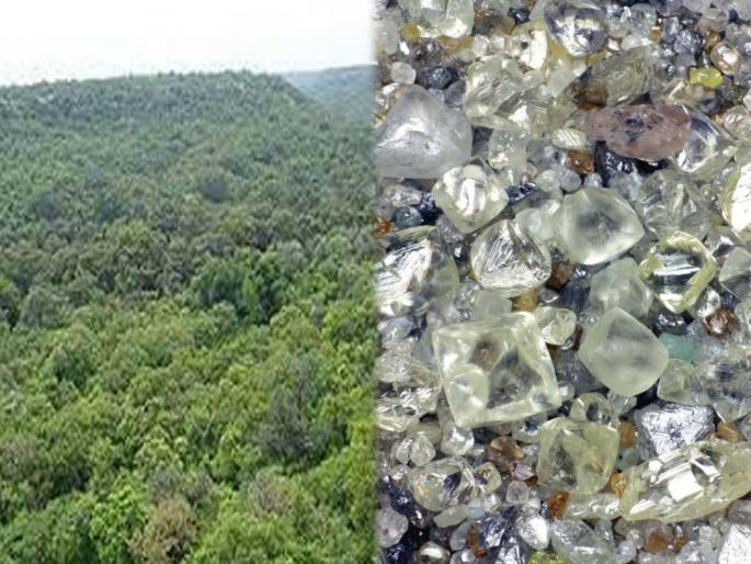India largest diamond reserves also found in MP estimated to be 15 times more diamond than Panna mines | बाबो! 'इथे' सापडला देशातील सर्वात मोठा हिरे भांडार, पन्नापेक्षा १५ पटीने जास्त हिरे असल्याचा अंदाज India largest diamond reserves also found in MP estimated to be 15 times more diamond than Panna mines | बाबो! 'इथे' सापडला देशातील सर्वात मोठा हिरे भांडार, पन्नापेक्षा १५ पटीने जास्त हिरे असल्याचा अंदाज