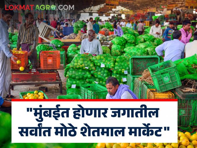 "The world's largest agricultural market will be in Mumbai"; Rawal's big announcement as soon as he took over as the Marketing Minister | Agriculture Market : "मुंबईत होणार जगातील सर्वांत मोठे शेतमाल मार्केट"; पणन मंत्रीपदाची सूत्रे हाती घेताच रावल यांची मोठी घोषणा "The world's largest agricultural market will be in Mumbai"; Rawal's big announcement as soon as he took over as the Marketing Minister | Agriculture Market : "मुंबईत होणार जगातील सर्वांत मोठे शेतमाल मार्केट"; पणन मंत्रीपदाची सूत्रे हाती घेताच रावल यांची मोठी घोषणा