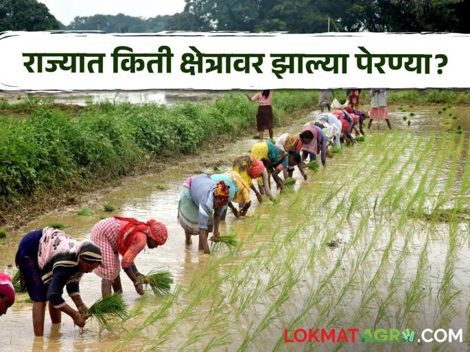 Kharip Sowing How many areas have been sown in tate Cotton was cultivated the most | Kharip Sowing : राज्यात आत्तापर्यंत किती क्षेत्रावर झाल्या पेरण्या? कापसाची झाली सर्वांत जास्त लागवड Kharip Sowing How many areas have been sown in tate Cotton was cultivated the most | Kharip Sowing : राज्यात आत्तापर्यंत किती क्षेत्रावर झाल्या पेरण्या? कापसाची झाली सर्वांत जास्त लागवड