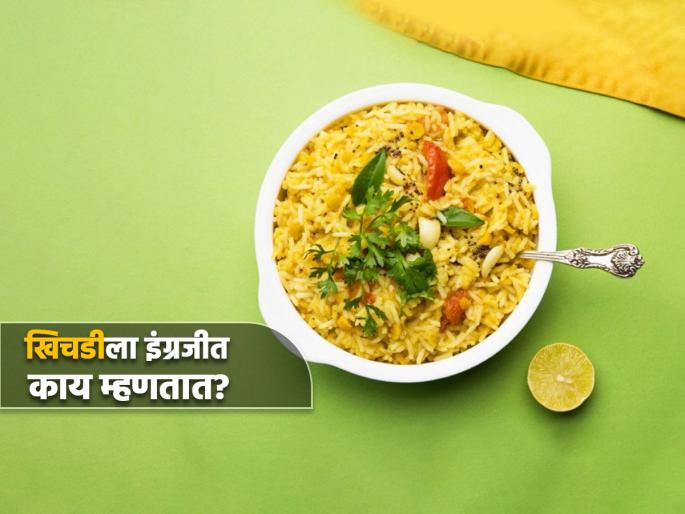 Do you know the English word for khichdi you will shock to know | खिचडीला इंग्रजीत काय म्हणतात? खातात सगळेच पण माहीत कुणालाच नसेल! Do you know the English word for khichdi you will shock to know | खिचडीला इंग्रजीत काय म्हणतात? खातात सगळेच पण माहीत कुणालाच नसेल!