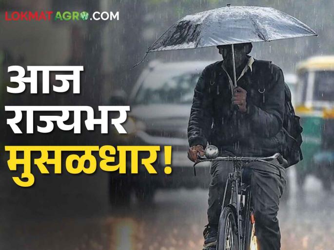 Rain Maharashtra Update: Heavy rain across the state today! Yellow alert of stormy rain in the state except these five districts | Rain Maharashtra Update: आज राज्यभर मुसळधार! हे पाच जिल्हे वगळता राज्यात वादळी पावसाचा यलो अलर्ट Rain Maharashtra Update: Heavy rain across the state today! Yellow alert of stormy rain in the state except these five districts | Rain Maharashtra Update: आज राज्यभर मुसळधार! हे पाच जिल्हे वगळता राज्यात वादळी पावसाचा यलो अलर्ट