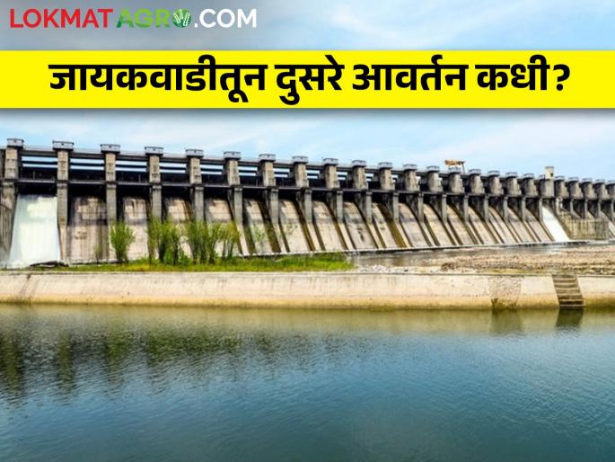 Jayakwadi: When will the second revision be released from Jayakwadi? | Jayakwadi Dam: जायकवाडीतून दुसरे आवर्तन कधी सोडले जाणार? Jayakwadi: When will the second revision be released from Jayakwadi? | Jayakwadi Dam: जायकवाडीतून दुसरे आवर्तन कधी सोडले जाणार?
