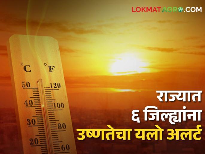Heat wave alert: Yellow heat alert for 6 districts in the state today, Met department forecast | Heat wave alert: आज राज्यात ६ जिल्ह्यांना उष्णतेचा यलो अलर्ट, हवामान विभागाचा अंदाज