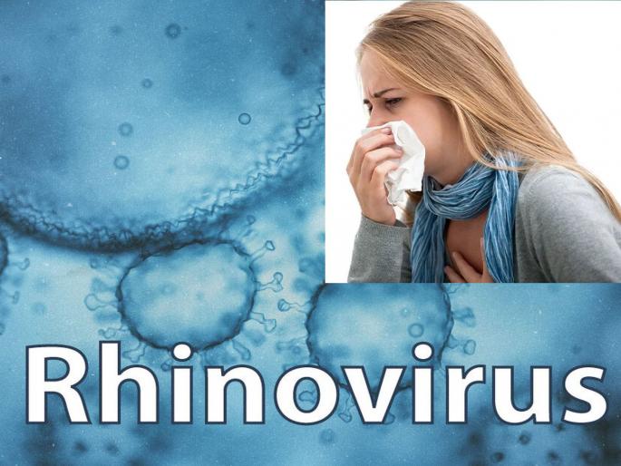 Rhinovirus Entry: If Corona test is negative ... Similar symptoms, British doctor confused; Health Department Guideline, stay home | Rhinovirus Entry : कोरोना टेस्ट निगेटीव्ह आली तर... रिनो व्हायरस एन्ट्री! एकसारखीच लक्षणे, ब्रिटनचे डॉक्टर हैराण Rhinovirus Entry: If Corona test is negative ... Similar symptoms, British doctor confused; Health Department Guideline, stay home | Rhinovirus Entry : कोरोना टेस्ट निगेटीव्ह आली तर... रिनो व्हायरस एन्ट्री! एकसारखीच लक्षणे, ब्रिटनचे डॉक्टर हैराण