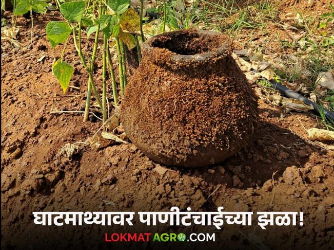 Water Crisis Water shortage began in January at the foothills of the Sahyadri Mountains. | Water Crisis : सह्याद्रीच्या घाटमाथ्यावर जानेवारी महिन्यात सुरू झाली पाण्याची टंचाई