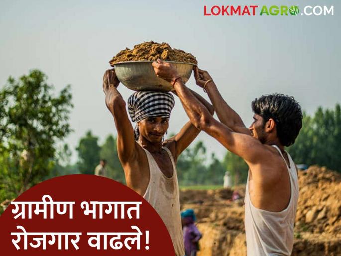 Employment Unemployment rate in rural areas drops from 5.3% to 2.5% employment increases | Employment : ग्रामीण भागात बेरोजगारीचा दर 5.3% वरून घसरून 2.5% वर; रोजगार वाढला Employment Unemployment rate in rural areas drops from 5.3% to 2.5% employment increases | Employment : ग्रामीण भागात बेरोजगारीचा दर 5.3% वरून घसरून 2.5% वर; रोजगार वाढला