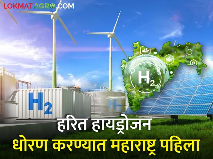 2 lakh 76 thousand crores investment in the state for production of green hydrogen | हरित हायड्रोजन निर्मितीसाठी राज्यात 2 लाख 76 हजार कोटींची गुंतवणूक 2 lakh 76 thousand crores investment in the state for production of green hydrogen | हरित हायड्रोजन निर्मितीसाठी राज्यात 2 लाख 76 हजार कोटींची गुंतवणूक
