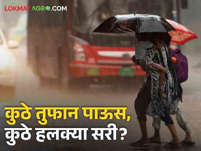 Maharashtra weather update: Thunderstorm alert in Pune along with Konkan, heavy in Vidarbha too; Read the detailed weather forecast | Maharashtra weather Update: कोकणासह पुण्यात तुफान पावसाचा अलर्ट, विदर्भातही जोरदार; वाचा सविस्तर हवामान अंदाज Maharashtra weather update: Thunderstorm alert in Pune along with Konkan, heavy in Vidarbha too; Read the detailed weather forecast | Maharashtra weather Update: कोकणासह पुण्यात तुफान पावसाचा अलर्ट, विदर्भातही जोरदार; वाचा सविस्तर हवामान अंदाज