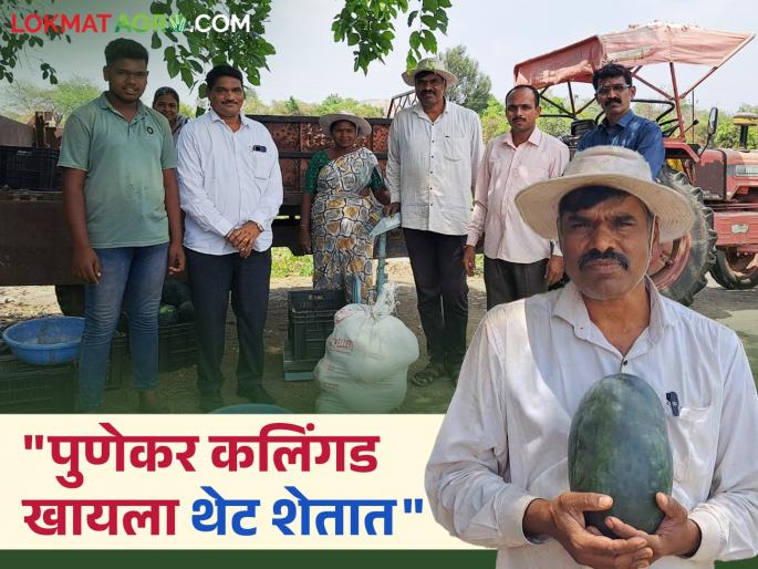 Farmer Sales system set up in the field itself! Profit of 25 lakhs per year by selling goods directly to customers | Farmer : शेतातच उभी केली विक्री व्यवस्था! थेट ग्राहकांना माल विकून वर्षाकाठी 25 लाखांचा नफा Farmer Sales system set up in the field itself! Profit of 25 lakhs per year by selling goods directly to customers | Farmer : शेतातच उभी केली विक्री व्यवस्था! थेट ग्राहकांना माल विकून वर्षाकाठी 25 लाखांचा नफा