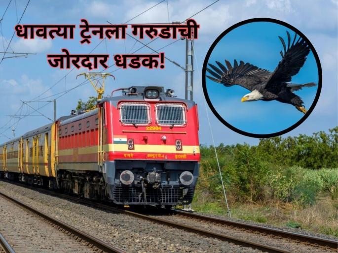 Jammu and Kashmir: Train pilot injured as eagle shatters windscreen and lands inside cabin in Anantnag | Railway: धावत्या ट्रेनला गरुडाची समोरून धडक, जखमी होऊनही लोको पायलटनं प्रसंगावधान दाखवलं, नाही तर... Jammu and Kashmir: Train pilot injured as eagle shatters windscreen and lands inside cabin in Anantnag | Railway: धावत्या ट्रेनला गरुडाची समोरून धडक, जखमी होऊनही लोको पायलटनं प्रसंगावधान दाखवलं, नाही तर...