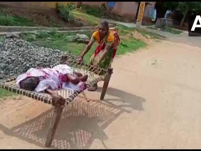 Video: So for pension, 100 year old mother had to be taken to the bank from bed in odisha | Video : म्हणून पेन्शनसाठी १०० वर्षीय आईला पलंगावरुन फरफटत बँकेत न्यावे लागले Video: So for pension, 100 year old mother had to be taken to the bank from bed in odisha | Video : म्हणून पेन्शनसाठी १०० वर्षीय आईला पलंगावरुन फरफटत बँकेत न्यावे लागले