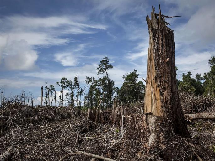 Mass Extinction of Earth: Has the threat of Earth's 'mass extinction' been averted? A new study by scientists has come to light... | पृथ्वीच्या 'महाविनाशा'चा धोका टळला? शास्त्रज्ञांचा नवीन अभ्यास समोर आला... Mass Extinction of Earth: Has the threat of Earth's 'mass extinction' been averted? A new study by scientists has come to light... | पृथ्वीच्या 'महाविनाशा'चा धोका टळला? शास्त्रज्ञांचा नवीन अभ्यास समोर आला...