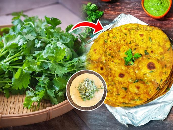 Spicy Coriander Paratha - Make breakfast with minimal ingredients, just ten minutes of work, tasty food | खमंग कोथिंबीर पराठा - कमी सामग्रीत करा पोटभर नाश्ता, दहा मिनिटांचे काम