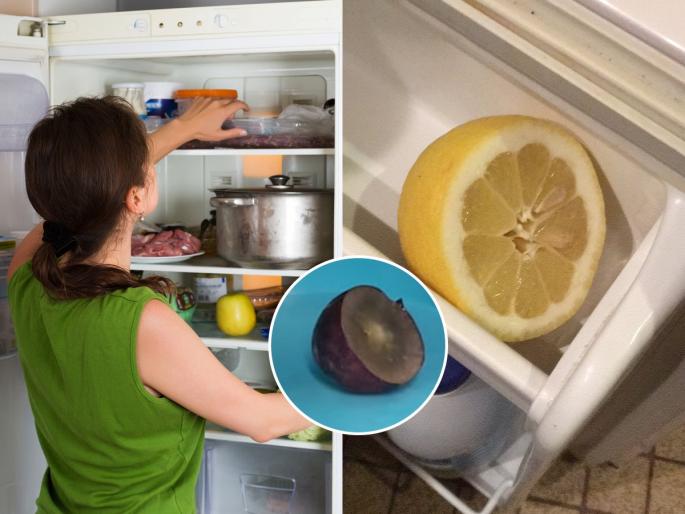 Is It Good To Eat Cut Lemon Store In Fridge How Long Does A Cut Lemon Last In The Fridge How to store half a lemon | अर्धवट चिरलेला लिंबू फ्रिजमध्ये ठेवता? तज्ज्ञ सांगतात 'असा' लिंबू वापरणे धोकादायकच कारण...