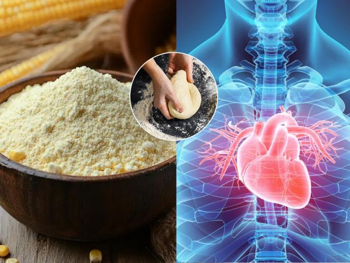 Should you eat cornflour, which is used to make food crispy? Is it the same as flour or a little better? Know before eating | पदार्थ कुरकुरीत करणारे वापरले जाणारे कॉर्नफ्लावर खावे का? मैद्यासारखेच आहे की जरा बरे? खाण्याआधी जाणून घ्या