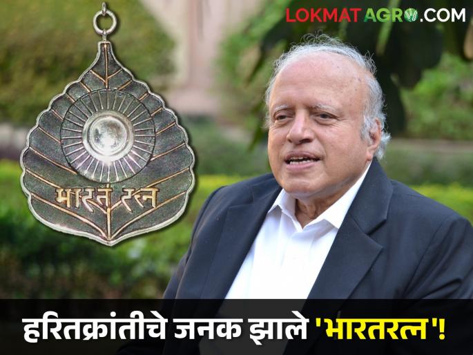 Father of Green Revolution MS Swaminathan declared Bharat Ratna posthumously! | हरितक्रांतीचे जनक एम. एस. स्वामीनाथन यांना मरणोत्तर भारतरत्न जाहीर! Father of Green Revolution MS Swaminathan declared Bharat Ratna posthumously! | हरितक्रांतीचे जनक एम. एस. स्वामीनाथन यांना मरणोत्तर भारतरत्न जाहीर!