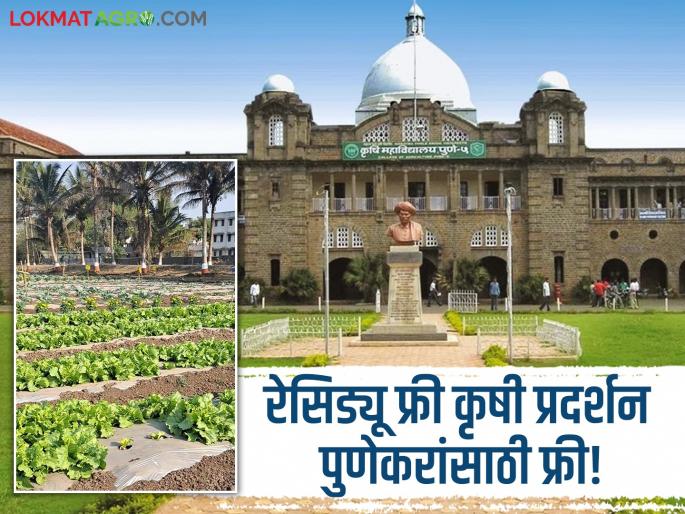Pune Exhibition: Residue-free agricultural exhibition free for Pune residents! Initiative of the Agricultural College | Pune Exibition : रेसिड्यू फ्री शेती प्रदर्शन पुणेकरांसाठी मोफत! कृषी महाविद्यालयाचा उपक्रम