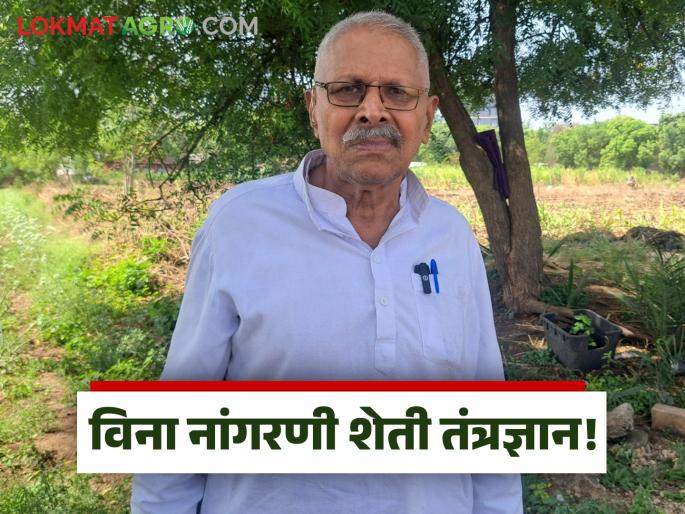 Zero Tillage Farming: What is the no-till farming technology that benefits even weeds in the field? | Zero Tillage Farming : शेतातील तणाचाही फायदा करून देणारे विना नांगरणी शेती तंत्रज्ञान काय आहे? Zero Tillage Farming: What is the no-till farming technology that benefits even weeds in the field? | Zero Tillage Farming : शेतातील तणाचाही फायदा करून देणारे विना नांगरणी शेती तंत्रज्ञान काय आहे?