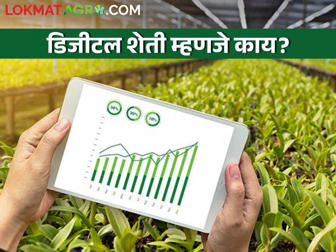 Digital Farming! Sir, cultivating land is needed or not? | डिजिटल शेती! साहेब म्हणजे मग जमिन कसायची का नाही? Digital Farming! Sir, cultivating land is needed or not? | डिजिटल शेती! साहेब म्हणजे मग जमिन कसायची का नाही?