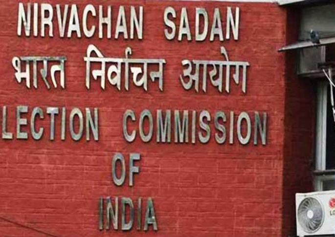 Election Commission order to BJP to remove Abhinandans Photo | निवडणूक आयोगाचा भाजपला 'दे धक्का'; अभिनंदन यांचा फोटो हटविण्याचे आदेश