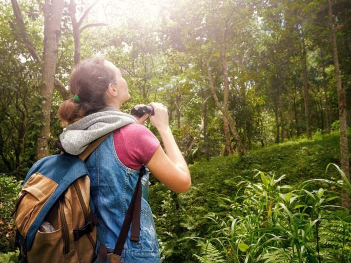 The state got Rs 30.60 crore for echo tourism schemes | निसर्ग पर्यटन योजनांसाठी राज्याला मिळाले ३०.६० कोटी