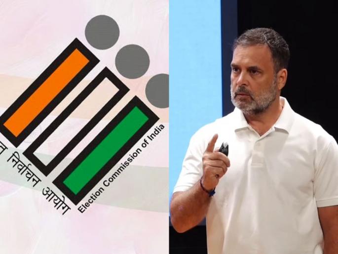 Election Commission Rebuts Rahul Gandhi's Voter Deletion Charge | ऑनलाइन पद्धतीने मतदाराचे नाव मतदार यादीतून हटवता येते का? निवडणूक आयोग म्हणाले...