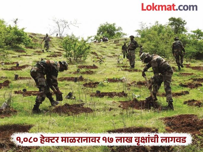 Forest Department and Eco Battalion create a paradise on 1,080 hectares of barren grasslands | वन विभाग व इको बटालियनने १,०८० हेक्टरवरील ओसाड माळरानावर फुलवले नंदनवन Forest Department and Eco Battalion create a paradise on 1,080 hectares of barren grasslands | वन विभाग व इको बटालियनने १,०८० हेक्टरवरील ओसाड माळरानावर फुलवले नंदनवन