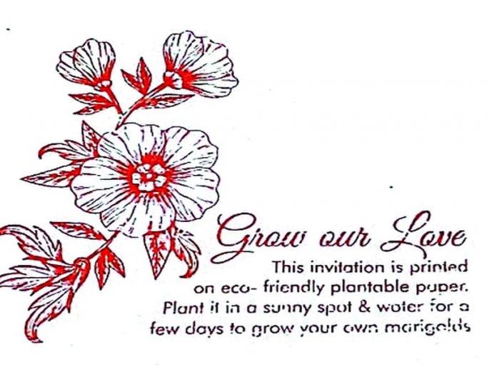 EcoFrendly marrige invitation | झेंडूच्या बियांपासून इकोफ्रेंडली लग्नपत्रिका EcoFrendly marrige invitation | झेंडूच्या बियांपासून इकोफ्रेंडली लग्नपत्रिका