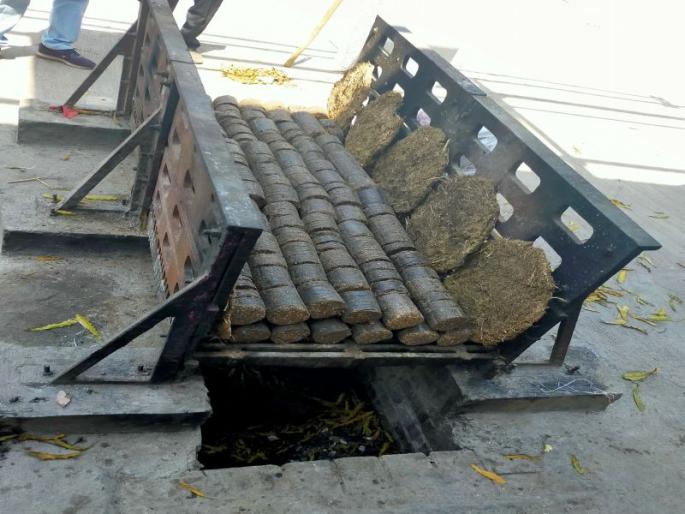 Eco-Friendly Funeral: Salvation of the tree is becoming effective on tree trunks | इको-फ्रेन्डली अंत्यसंस्कार : वृक्षतोडीवर मोक्षकाष्ठाचा उतारा ठरतोय प्रभावी पर्याय