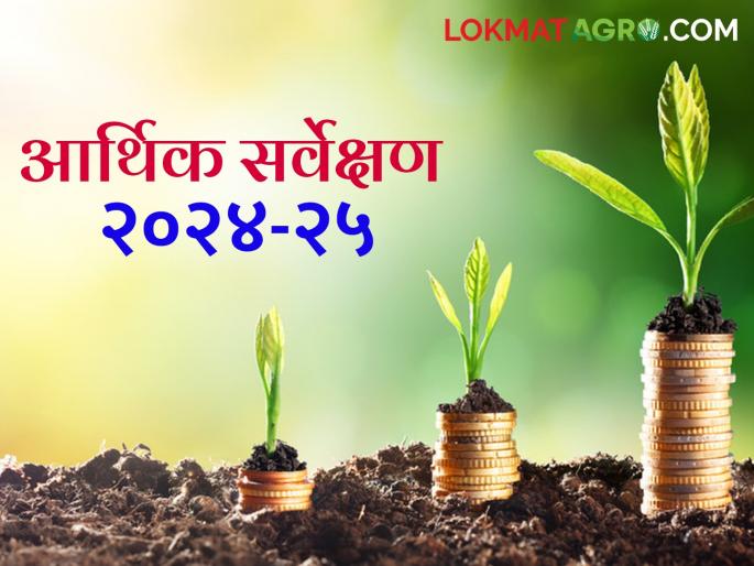 Union Budget 2025 : What is the growth rate of the agricultural sector in the Economic Survey report? Read in detail | Union Budget 2025 : आर्थिक सर्वेक्षण अहवालात कृषी क्षेत्राचा विकास दर किती? वाचा सविस्तर
